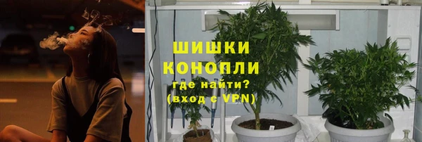 сатива Краснослободск