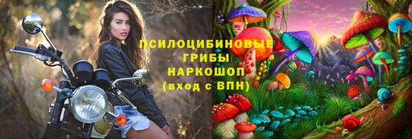 сатива Краснослободск