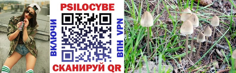 Галлюциногенные грибы Psilocybe  Козельск 